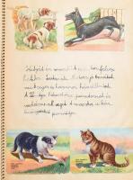 1943 Gyermek által írt élménybeszámoló napló formájában beragasztott színes gyűjtőképekkel Veresegyh...