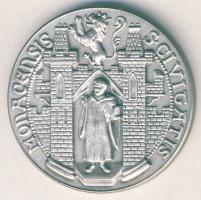 NSZK DN "Oroszlán Henrik" Ag 22,3g T:1