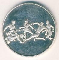 NSZK 1972. "XX. Nyári Olimpia - München" Ag 15,1g T:PP