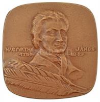~1970. Nagyváthy János 1755-1819 kétoldalas bronz plakett (78x80mm) T:2