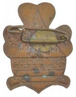 1939. "Pax Ting 1939 Hungaria" a Magyar Cserkészlány Szövetség részben zománcozott Br jelv...