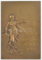1930. "O.J.G.V. Orosháza 1930.V.18. IV. DIJ" Br emlékérem eredeti "MORZSÁNYI JÓZSEF D...
