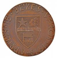 Csíkszentmihályi Róbert (1940-2021) 1973. "Városunkért / 1973. április 15. Békés Város" Br...