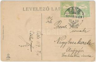 1917 Paks, Duna részlete, úszó hajómalom. Wiener Hajman kiadása / floating boat mills (EK)