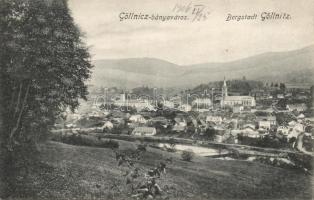 Göllnicz mining town