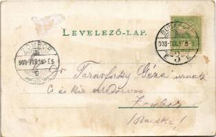 1903 Budapest II. Szent Lukács fürdő, Nagyszálloda, forrástó, gyógyudvar, iszapfürdő, gyógyterem, lé...