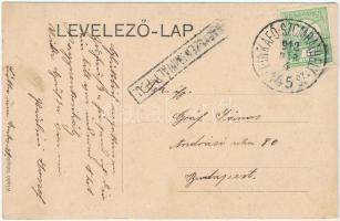 1912 Nagyszentmihály, Németszentmihály, Grosspetersdorf; Fő utca, Mayer Adolf üzlete / Hauptstrasse,...