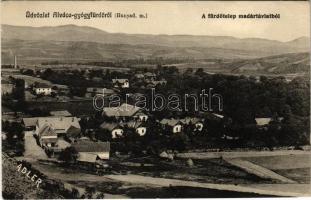 Alváca-gyógyfürdő, Vata de Jos (Hunyad); fürdőtelep madártávlatból. Adler fényirda 1910. 2634. / spa (EK)