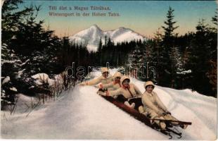 Tátra, Vysoké Tatry; Téli élet a Magas Tátrában, irányítható szánkó / winter sport, toboggan, sled, controllable bob sleigh