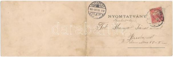 1901 Nyitra, Nitra; Általános látkép a gőzmalommal. Neuman József kiadása, Két részes kinyitható pan...