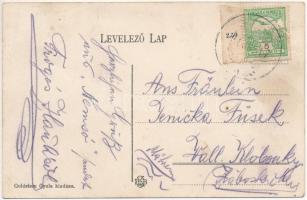 1911 Nemsó, Nemsova (Felsőszúcs, Horná Súca); Üveggyár, vasútállomás, Goldstein Gyula üzlete és sajá...