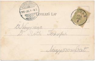 1905 Pozsonynádas, Nádas, Trstín; Windischgrätz herceg kastélya, Fő tér és templom, üzlet. Fischer H...