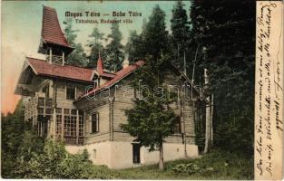 1912 Tátraháza, Mlynceky (Magas Tátra, Vysoké Tatry); Budapest Villa (EK)