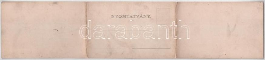 1913 Máramarossziget, Sighetu Marmatiei; Madártávlatból. Három részes kinyitható panorámalap. Fényké...