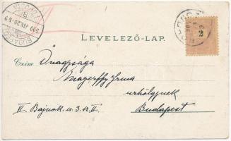 1900 Rohonc, Rechnitz; Erdő részlet, vár, Szabadság oszlop / Schloss, Denkmal, Wald / castle, forest...