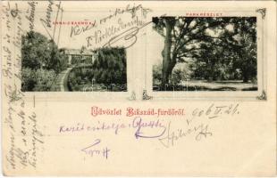 1906 Bikszádfürdő, Baile Bicsad, Bixad; Anna csarnok, park / spa, park