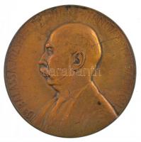 Gárdos Aladár (1878-1944) 1918. "Dr. Balassa József, Tudomány - Tanítás - Társadalom" egyoldalas Br emlékérem (50,5mm) T:2 karc, patina / Hungary 1918. "Dr. József Balassa, Science - Education - Society" one-sided Br commemorative medallion. Sign.:Aladár Gárdos (1878-1944) (50,5mm) C:XF scratched, patina HP.: 2482.