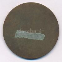 Murányi Gyula (1881-1920) 1909. "Francesco Ferrer emlékére" egyoldalas bronz emlékérem (50...