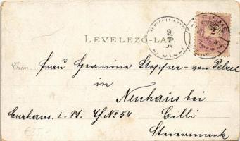 1896 (Vorläufer) Fiume, Rijeka; Marco Oberdorfer Art Nouveau, floral, litho