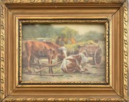 Pállya Carolus (1875-1930): Pihenő marhák. Olaj, fa. Jelzett, keretben. 12x15 cm