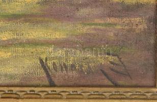 Komári jelzéssel: Pajtánál. Olaj, vászon, sérült keretben 42x50 cm