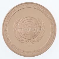1973. "Egyesült Nemzetek Szervezete" peremen jelzett bronz emlékérem (39mm) T:1- (PP) ujjl...