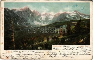 1911 Tátra, Tatry; Zöldtó-völgy. Feitzinger Ede 1902/12. 513. / Grünsee-Thal (EK)