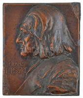 Ausztria(?) DN Franz Liszt egyoldalas, vastag bronzozott fém plakett. Szign: Franz Stiasny (66x54x19mm) T:2- durva ph. Austria(?) ND Franz Liszt one-sided bronze plaque. Sign.: Franz Stiasny (66x55x19mm) C:VF strong edge error