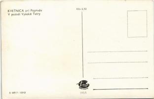 Tátra, Tatry; Rózsavölgy (Virágvölgy), Blumental, Kvetnica;