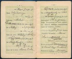1937 Iráni fényképes tartózkodási engedély (Permis de Séjour) magyar személy (Michel (Mihály) Szilvá...