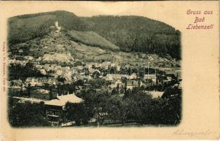 Bad Liebenzell, general view (EM)