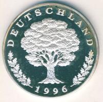 NSZK 1996. "Kap Arkona Rügen" Ag 20,1g T:PP