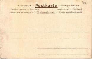 Burgruine. Lith. Anst. v. Hubert Köhler litho s: Ernst Liebermann