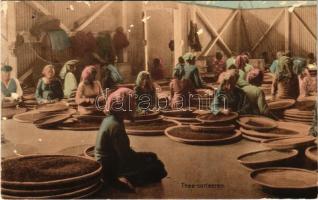 Thee-sorteeren / Indonesian folklore, tea sorting (felületi sérülés / surface damage)
