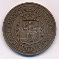 Bognár György (1944-) 1988. "MÉE Nógrád megye - Nógrádi várak sorozat - Buják vára" bronz ...