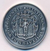 Bognár György (1944-) 1988. "MÉE Nógrád megye - Nógrádi várak sorozat - Hollókő" ezüstpati...