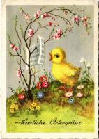 1960 Herzliche Ostergrüsse / Easter greeting art postcard with singing chicken (EK)