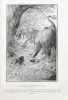 Ismeretterjesztő Könyvtár 8 kötete: 

Williams Archibald: Korunk találmányai. Angol eredetije után...