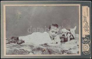 cca 1910 Gyerek játékkutyával, keményhátú fotó Hollósi József szatmári műterméből, lyukkal, 10,5×6,5 cm
