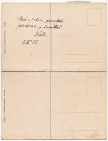 1914 Bremen, Bürgerpark, Emmasee / park, lake, rowing boat, motorboat. 2-tiled folding card (b)