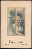 1904 Bp., Pannonia Szálloda szecessziós, kinyitható újévi üdvözlőlapja, Kanitz C. és Fiai Bp., szakadással, kisebb foltokkal