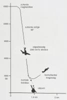 20. Századi Hadtörténet sorozat 32 kötete: 
Rupert Butler: SS-Leibstandarte. Az első SS-hadosztály ...