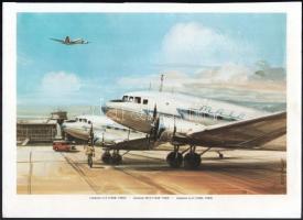 cca 1980 9 db repülőgépeket (köztük MALÉV gépeket) ábrázoló színes nyomat, az eredeti festmények Bánfalvy Ákos munkái, 32x23 cm