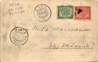 1906 Dieng Plateau, Kawa Kidang in het Plateau (Dieng) (EB)