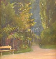 Benczúr Dolányi Ida (1876-1970): Parkrészlet a ferenczhalmi szanatóriumból (Budakeszi út 87.). Olaj,...