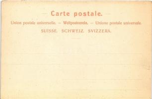 Winterthur, Ballon-Aufnahme 1897 R.V.M. / aerial view taken from a hot air balloon