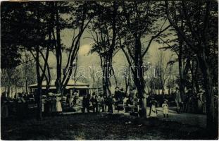 1908 Fehértemplom, Ung. Weisskirchen, Bela Crkva; Ferenc József sétány és park. W.L. 1154. / Franz Josef-Park / promenade, park (EK)
