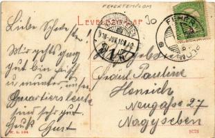 1908 Fehértemplom, Ung. Weisskirchen, Bela Crkva; Ferenc József sétány és park. W.L. 1154. / Franz J...