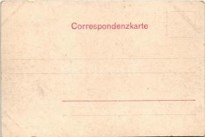 Obertraun, Schloß Grub am Hallstättersee / castle (small tear)