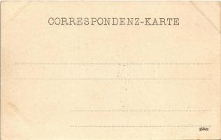 Bad Aussee (Steiermark), general view (EK)